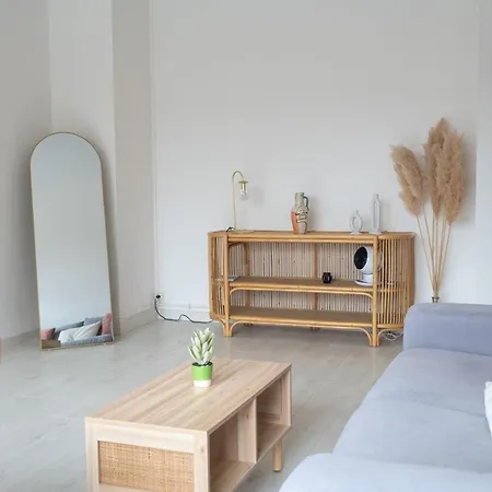 Apartment Superbe Avenue De Champagne + Parking Epernay